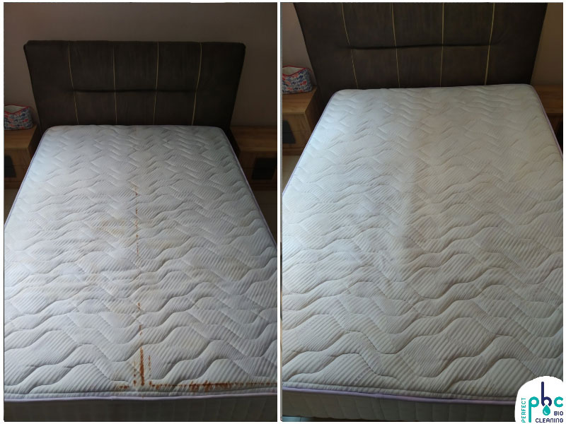 PERFECT BIOCLEANING: Φωτογραφίες & Βίντεο