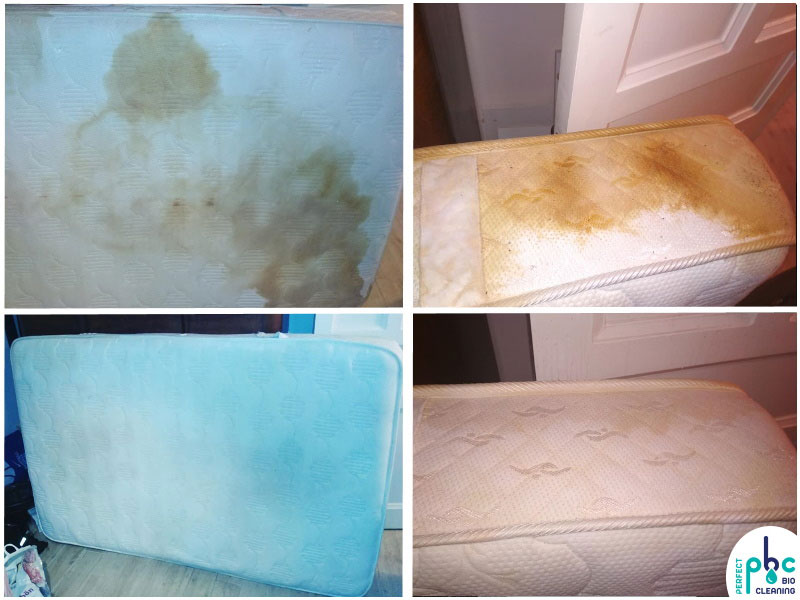 PERFECT BIOCLEANING: Φωτογραφίες & Βίντεο
