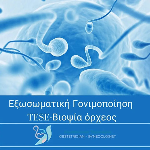 PERISTERIS KONSTANTINOS Dr: Φωτογραφίες & Βίντεο
