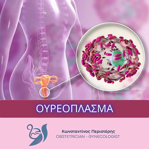 PERISTERIS KONSTANTINOS Dr: Φωτογραφίες & Βίντεο