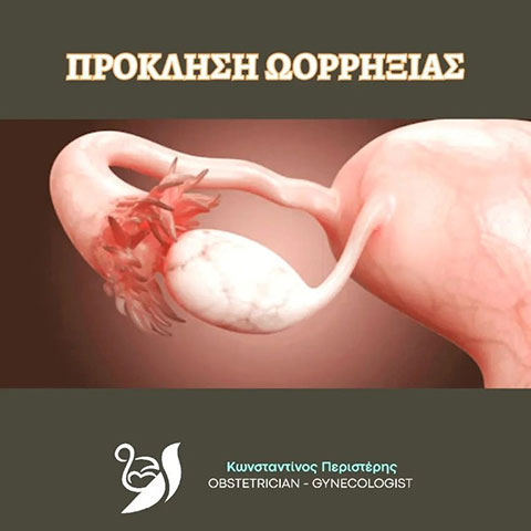 PERISTERIS KONSTANTINOS Dr: Φωτογραφίες & Βίντεο