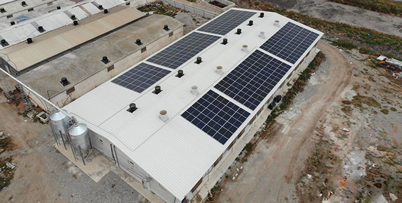 ΠΕΡΙΒΑΛΛΟΝΤΟΛΟΓΟΙ ENERGY - ΚΟΥΡΟΥ ΦΩΤΕΙΝΗ: Φωτογραφίες & Βίντεο