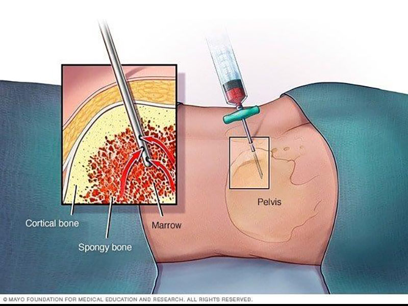 PESSACH ILIAS MD, PHD, KATHIGITIS: Φωτογραφίες & Βίντεο