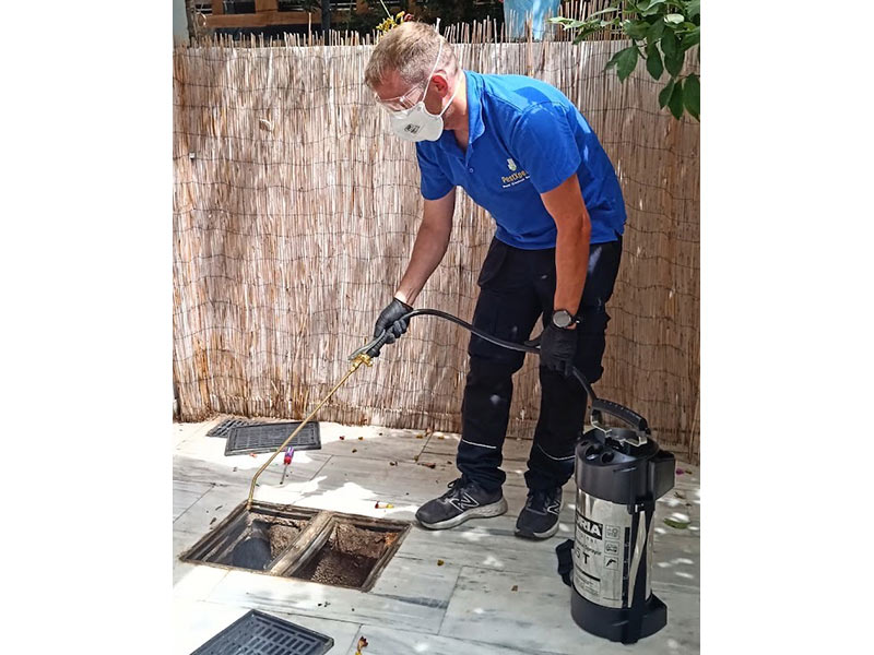 PESTXPERTS - PREVEZIANOS KONSTANTINOS: Φωτογραφίες & Βίντεο