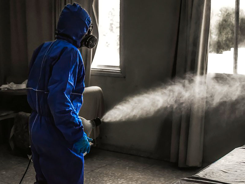 PESTXPERTS - PREVEZIANOS KONSTANTINOS: Φωτογραφίες & Βίντεο