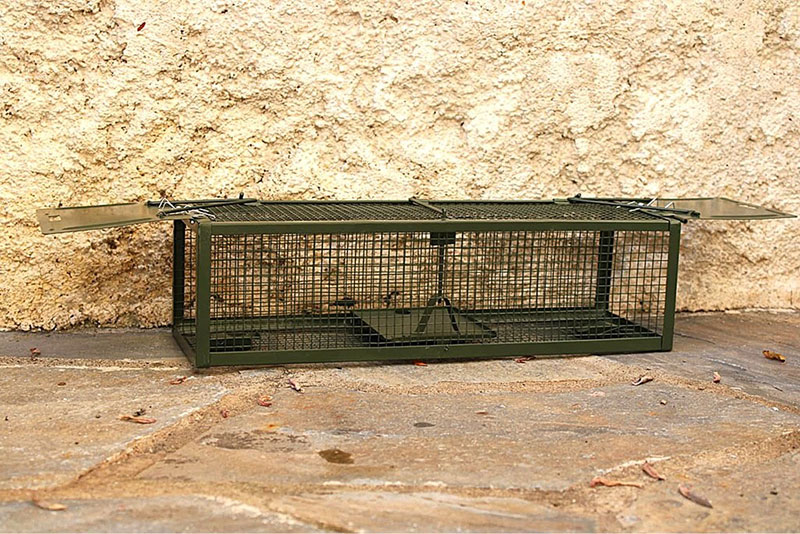 PEST AWAY: Φωτογραφίες & Βίντεο