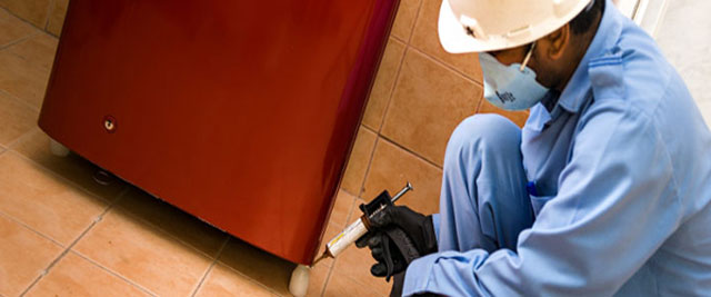PEST CONTROL KATSARIDIS P. - VOGIATZIS P. OE: Φωτογραφίες & Βίντεο