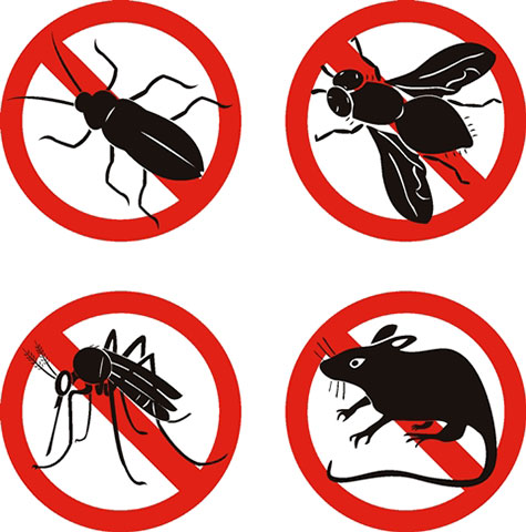 PEST CONTROL KATSARIDIS P. - VOGIATZIS P. OE: Φωτογραφίες & Βίντεο