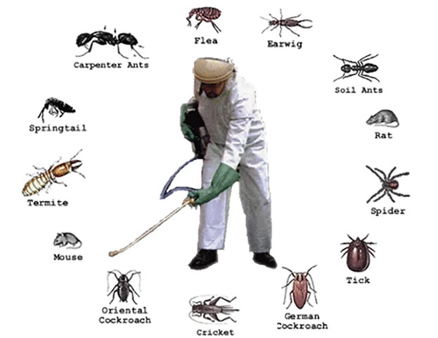 PEST CONTROL SERVICE - TSIKOULAS GEORGIOS: Φωτογραφίες & Βίντεο