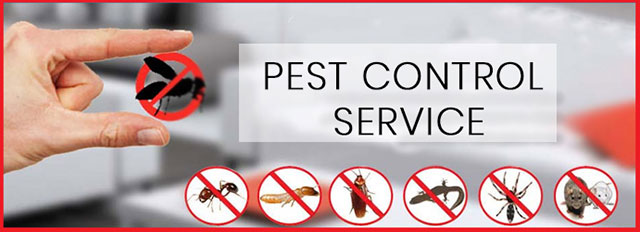 PEST DEFENCE - ΤΖΟΥΒΑΡΑΣ ΑΘΑΝΑΣΙΟΣ: Φωτογραφίες & Βίντεο