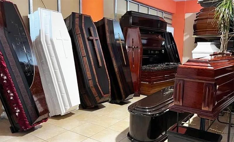 ΠΕΤΑΡΟΥΔΑ ΣΤ.: Φωτογραφίες & Βίντεο