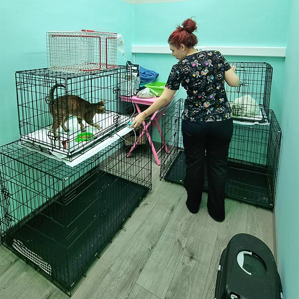 PETMED: Φωτογραφίες & Βίντεο