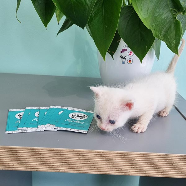 PETMED: Φωτογραφίες & Βίντεο