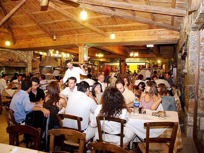 ΠΕΤΟΥΣΗΣ: Φωτογραφίες & Βίντεο