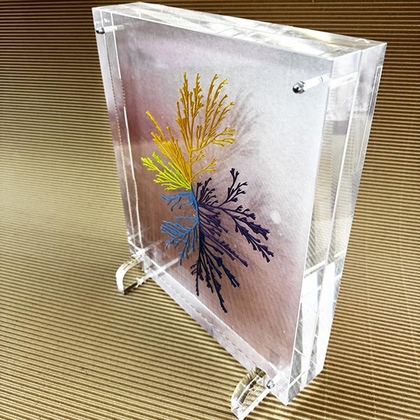 PETROPOULOS DIMITRIS - PLEXIGLAS: Φωτογραφίες & Βίντεο