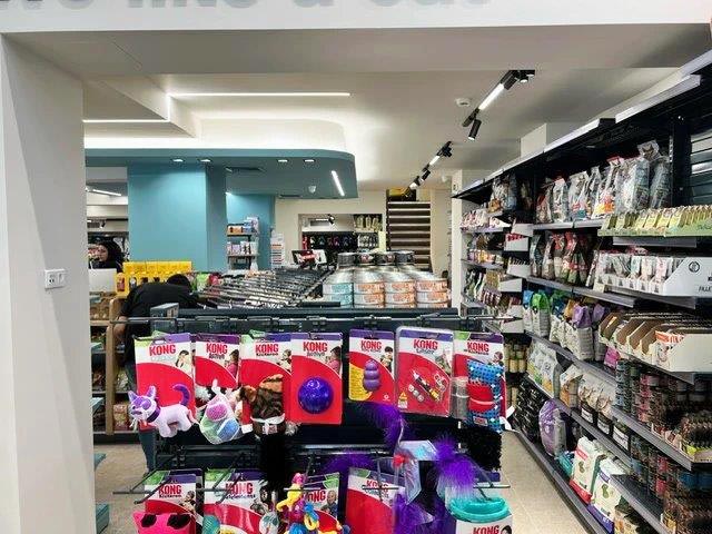 PETSHOP88: Φωτογραφίες & Βίντεο