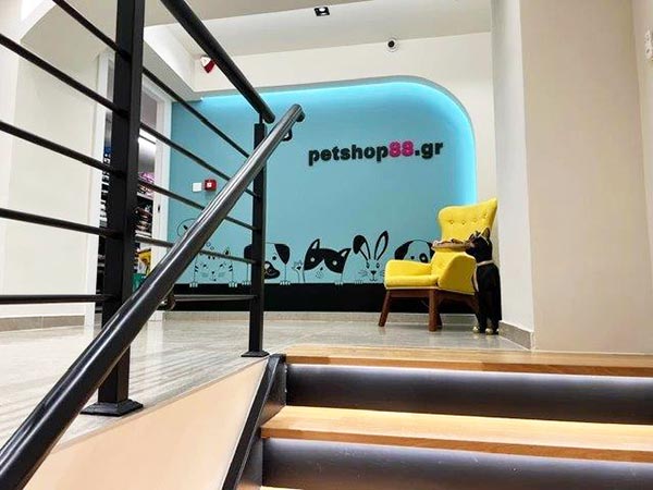 PETSHOP88: Φωτογραφίες & Βίντεο