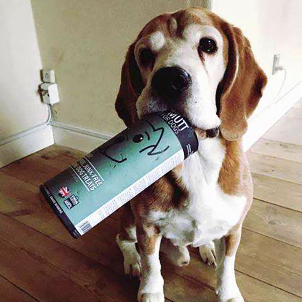 PETSTYLE: Φωτογραφίες & Βίντεο