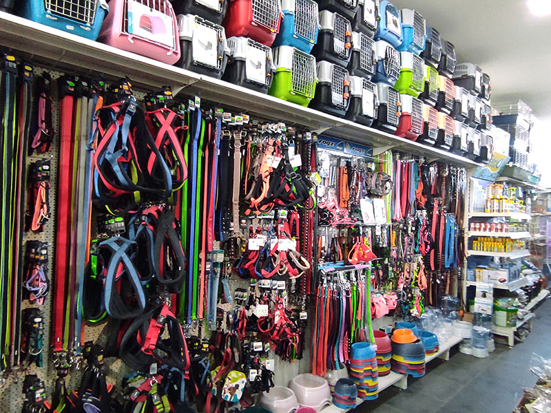 PETWAY - THEODOULIDIS MICHAIL: Φωτογραφίες & Βίντεο