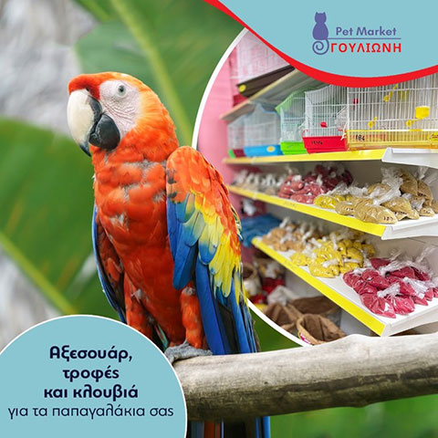 PET MARKET ΓΟΥΛΙΩΝΗ: Φωτογραφίες & Βίντεο