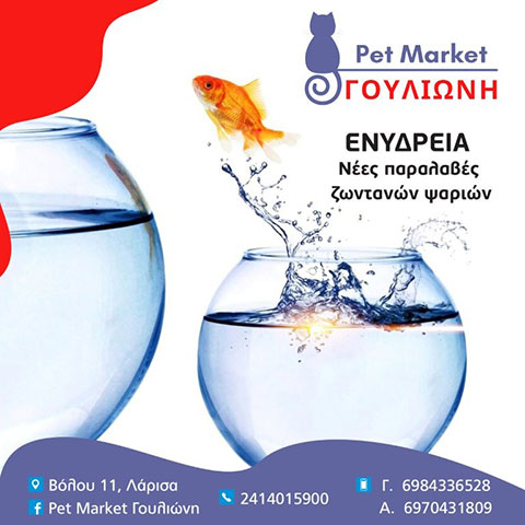 PET MARKET ΓΟΥΛΙΩΝΗ: Φωτογραφίες & Βίντεο