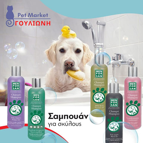 PET MARKET ΓΟΥΛΙΩΝΗ: Φωτογραφίες & Βίντεο