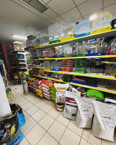 PET MARKET ΓΟΥΛΙΩΝΗ: Φωτογραφίες & Βίντεο