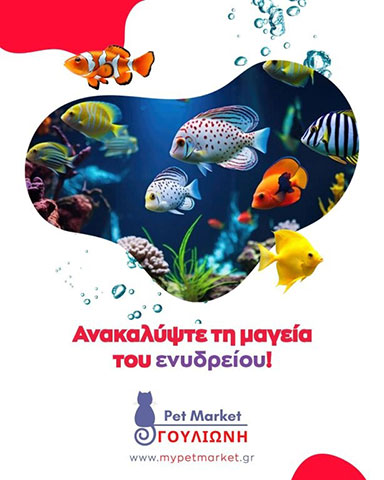 PET MARKET ΓΟΥΛΙΩΝΗ: Φωτογραφίες & Βίντεο