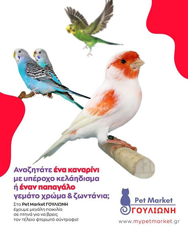 PET MARKET ΓΟΥΛΙΩΝΗ: Φωτογραφίες & Βίντεο