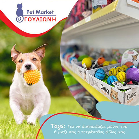PET MARKET ΓΟΥΛΙΩΝΗ: Φωτογραφίες & Βίντεο