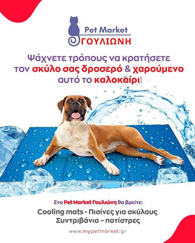PET MARKET ΓΟΥΛΙΩΝΗ: Φωτογραφίες & Βίντεο