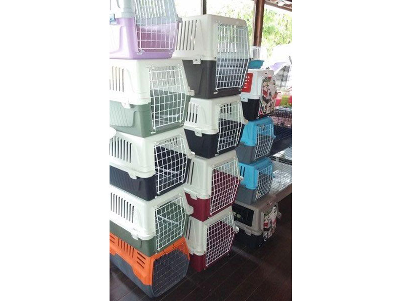 PET SHOP - CHATZOPOULOS ARGYRIS: Φωτογραφίες & Βίντεο