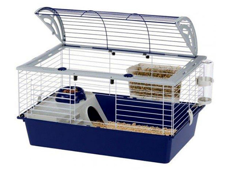 PET SHOP - CHATZOPOULOS ARGYRIS: Φωτογραφίες & Βίντεο