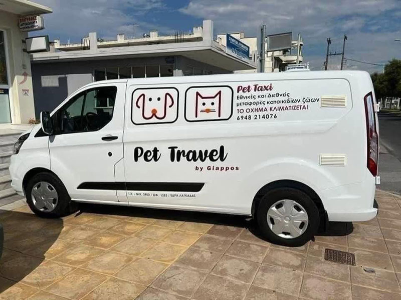 PET TRAVEL OE: Φωτογραφίες & Βίντεο