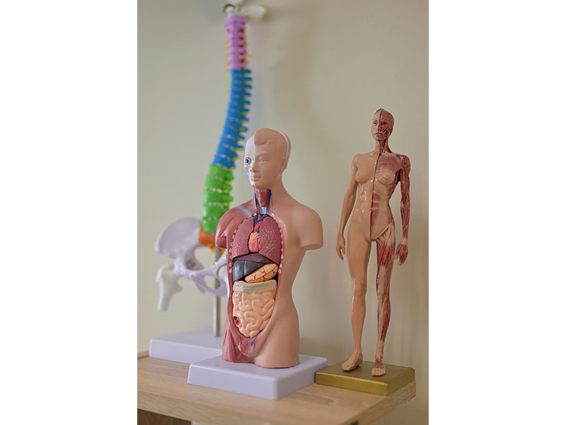 PHYSICAL CARE: Φωτογραφίες & Βίντεο