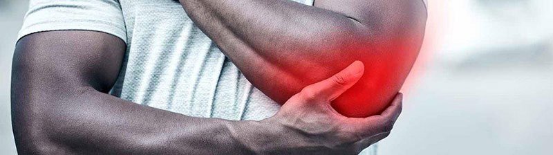 PHYSIODANALI: Φωτογραφίες & Βίντεο