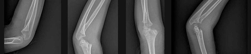 PHYSIODANALI: Φωτογραφίες & Βίντεο