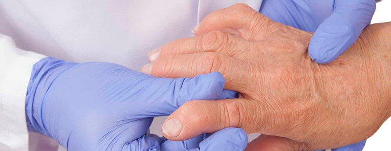 PHYSIODANALI: Φωτογραφίες & Βίντεο