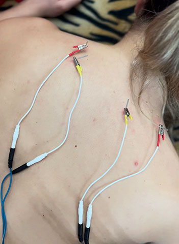 PHYSIOTONOSIS: Φωτογραφίες & Βίντεο