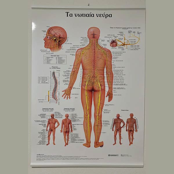PHYSIO - SYNOLAKI ELEFTHERIA: Φωτογραφίες & Βίντεο