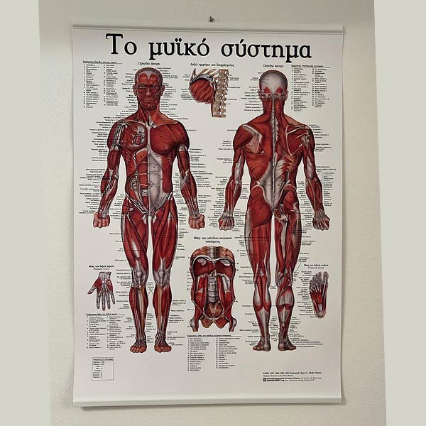 PHYSIO - SYNOLAKI ELEFTHERIA: Φωτογραφίες & Βίντεο