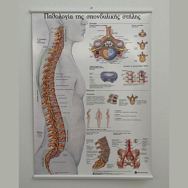 PHYSIO - SYNOLAKI ELEFTHERIA: Φωτογραφίες & Βίντεο