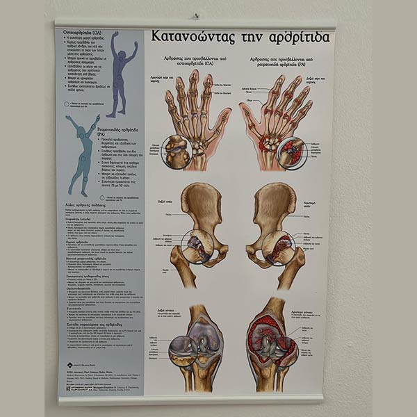 PHYSIO - SYNOLAKI ELEFTHERIA: Φωτογραφίες & Βίντεο