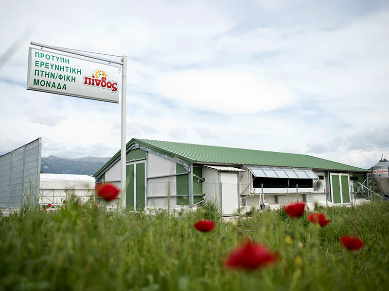PINDOS - AGROTIKOS PTINOTROFIKOS SYNETAIRISMOS IOANNINON: Φωτογραφίες & Βίντεο