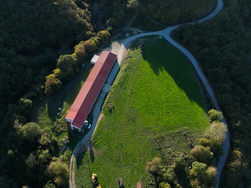 PINDOS - AGROTIKOS PTINOTROFIKOS SYNETAIRISMOS IOANNINON: Φωτογραφίες & Βίντεο