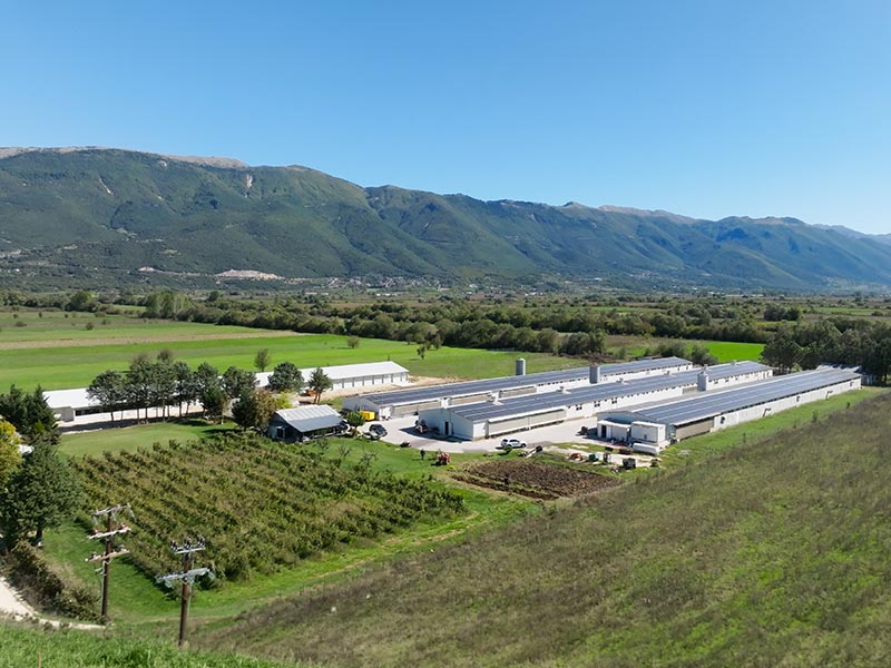 PINDOS - AGROTIKOS PTINOTROFIKOS SYNETAIRISMOS IOANNINON: Φωτογραφίες & Βίντεο