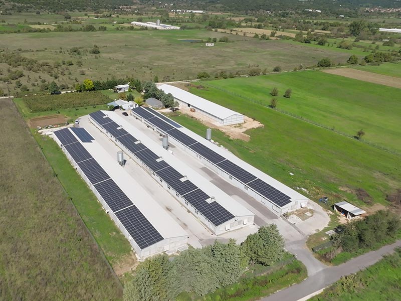 PINDOS - AGROTIKOS PTINOTROFIKOS SYNETAIRISMOS IOANNINON: Φωτογραφίες & Βίντεο