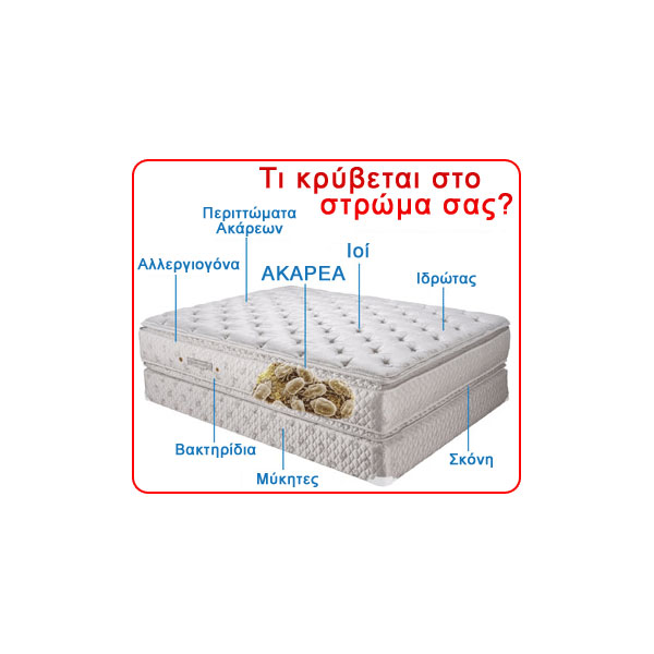 PITSOULIS ANDREAS: Φωτογραφίες & Βίντεο