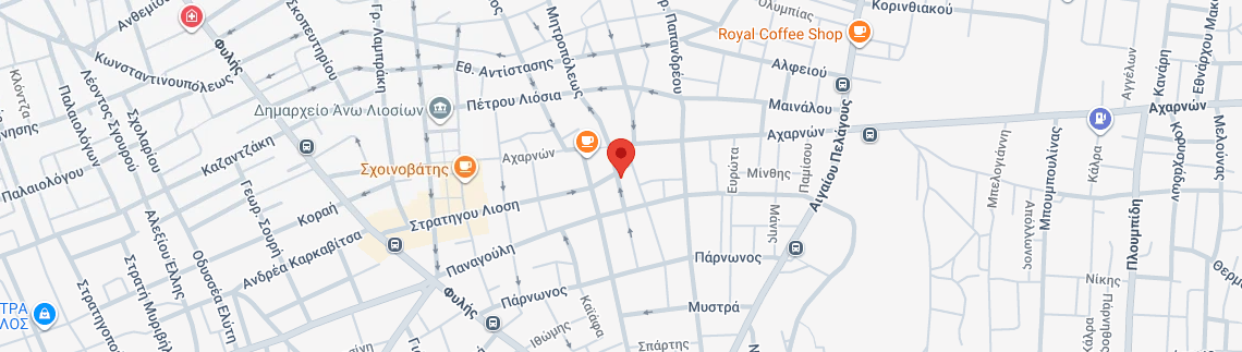 Λογότυπο PLAKIA THEODORA