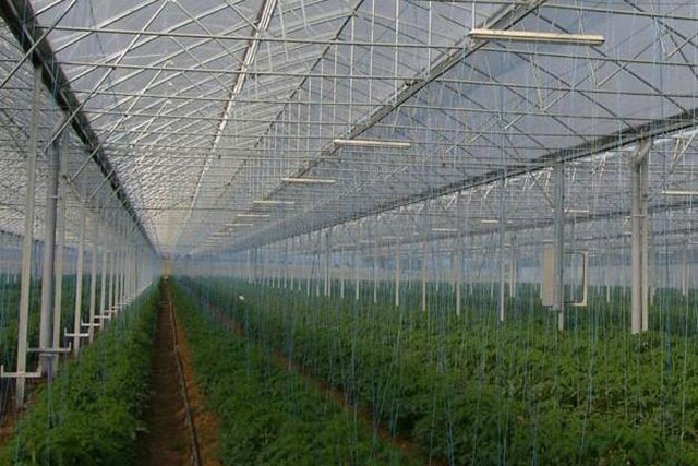 PLASTIKA KRITIS AE: Φωτογραφίες & Βίντεο
